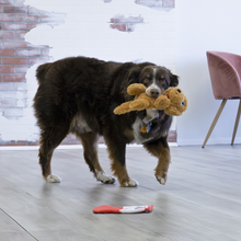 Load image into Gallery viewer, KONG Comfort Pups Goldie Medium