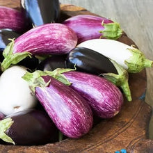 Load image into Gallery viewer, Aubergine Patio Mix