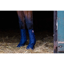 Load image into Gallery viewer, Equilibrium Equi-Chaps Stable Chaps