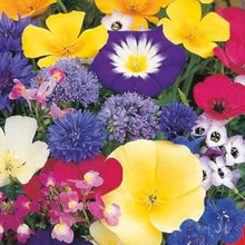 Load image into Gallery viewer, Little Growers Creepy Crawly Mixture