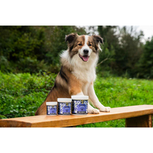 Load image into Gallery viewer, Proflax Mega Mobility Supplement