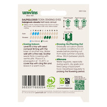 Load image into Gallery viewer, Salpiglossis Tora Staring Eyes