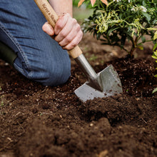 Load image into Gallery viewer, Kent & Stowe Stainless Steel Perennial Spade