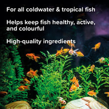 Load image into Gallery viewer, King British Holiday Food Block For Cold Water & Tropical Fish