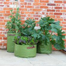 Load image into Gallery viewer, Haxnicks Patio Planters