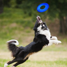Load image into Gallery viewer, Nerf Dog Translucent Tire Flyer