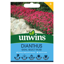 Load image into Gallery viewer, Dianthus Ideal Select Rose