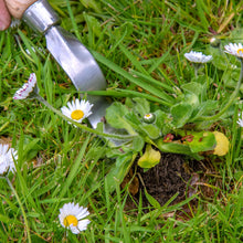 Load image into Gallery viewer, Kent & Stowe Stainless Steel Hand Daisy Grubber