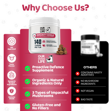 Load image into Gallery viewer, Our Dogs Life Immunity Shield - 140 Chews