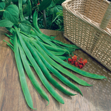 Load image into Gallery viewer, Runner Bean Streamline