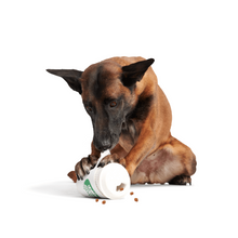Load image into Gallery viewer, Bark Pupkin Spice Yappucino Dog Toy