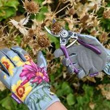 Load image into Gallery viewer, Burgon & Ball Asteraceae Pruner & Holster Set