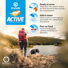 Load image into Gallery viewer, Oralade Active Isotonic Hydration Fluid For Dogs 250ml