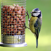 Load image into Gallery viewer, Copdock Mill Peanut Kernels 12.75kg