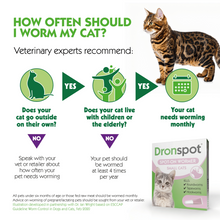 Load image into Gallery viewer, Dronspot Spot On Wormer for Small Cats (0.5 to 2.5kg) 6 Pipettes