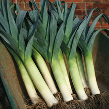 Load image into Gallery viewer, Leek Lancaster F1