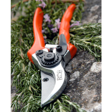 Load image into Gallery viewer, Burgon & Ball Bypass Secateurs