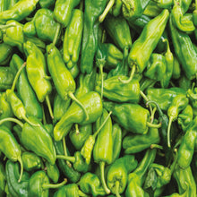 Load image into Gallery viewer, Pepper (Chilli) Padron