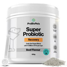 Load image into Gallery viewer, ProBioPets Daily Probiotic Recovery Powder 100g