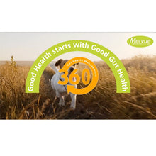 Load image into Gallery viewer, Mervue ProBio Paste For Dogs & Puppies Gastrointestinal/Gut Health & Immunity