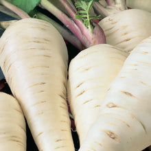 Load image into Gallery viewer, Parsnip White Spear