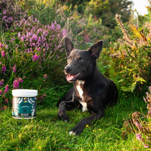 Load image into Gallery viewer, Proflax Keep off Me! Powder