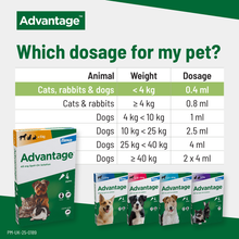 Load image into Gallery viewer, Advantage Spot On Flea Treatment (4 Pack) for Cats, Dogs & Rabbits