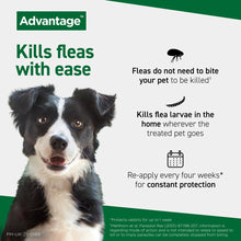 Load image into Gallery viewer, Advantage Spot On Flea Treatment (4 Pack) for Cats, Dogs & Rabbits