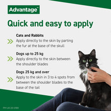 Load image into Gallery viewer, Advantage Spot On Flea Treatment (4 Pack) for Cats, Dogs & Rabbits