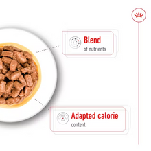 Load image into Gallery viewer, Royal Canin Dog Mini Ageing Wet 12 x 85g