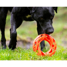 Load image into Gallery viewer, Chuckit! Air Fetch Wheel Dog Toy Flying Disc