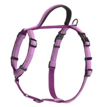 Load image into Gallery viewer, Halti Walking Harness For Dogs Various Colours & Sizes