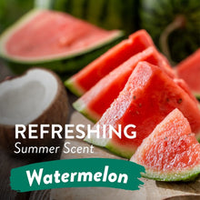 Load image into Gallery viewer, TropiClean Watermelon Waterless Pet Shampoo 218ml