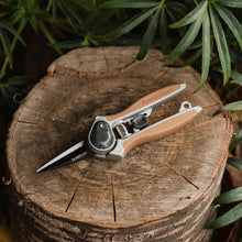 Load image into Gallery viewer, Kent & Stowe Garden Life Flower Snips