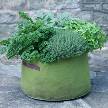 Load image into Gallery viewer, Haxnicks Vigoroot Planter