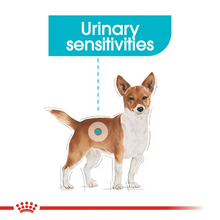 Load image into Gallery viewer, Royal Canin CCN Mini Urinary Care 3kg