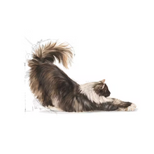 Load image into Gallery viewer, Royal Canin Indoor Long Hair Cat Food