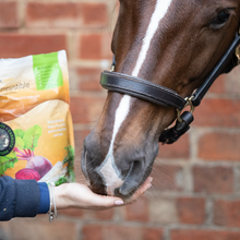 Load image into Gallery viewer, Equilibrium Simply Irresistible Horse Treat- Various Flavours