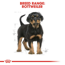 Load image into Gallery viewer, Royal Canin Rottweiller Puppy Food 12kg