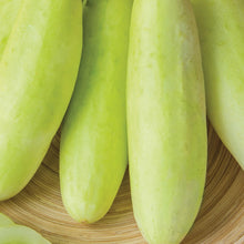 Load image into Gallery viewer, Cucumber Honey Plus