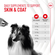 Load image into Gallery viewer, Royal Canin Adult Skin & Coat Supplement 240g