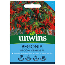 Load image into Gallery viewer, Begonia Groovy Orange F1
