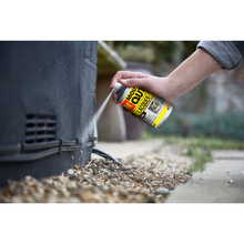 Load image into Gallery viewer, The Big Cheese Peppermint Lacquer 300ml Aerosol