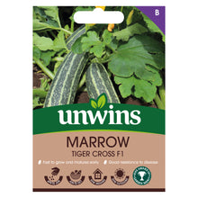Load image into Gallery viewer, Marrow Tiger Cross F1