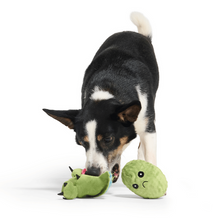Load image into Gallery viewer, Bark Consuela The Cactus Dog Toy