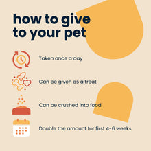 Load image into Gallery viewer, Seraquin Joint Tablets For Cats & Dogs - 800mg / 2g x 60 Chewable Tablets