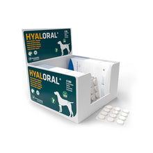 Load image into Gallery viewer, Hyaloral Tablets Large/X Large Dog