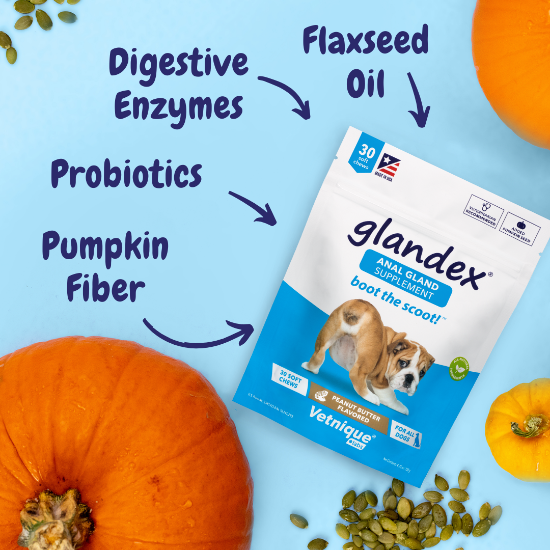 Glandex soft chews clearance for dogs