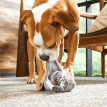 Load image into Gallery viewer, Bark Hare Raiser Dog Toy