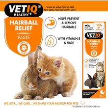 Load image into Gallery viewer, VETIQ Hairball Relief 70G